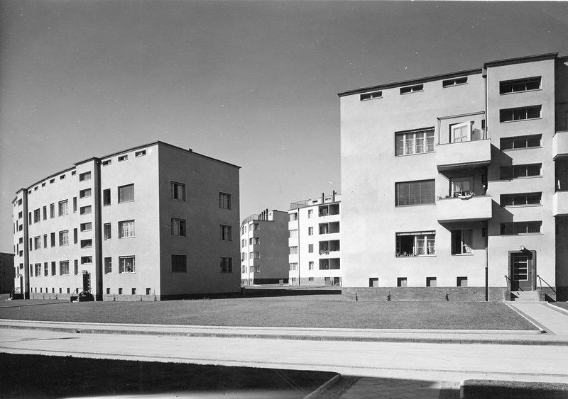 Flachgedeckte weiße Wohnblöcke der Neuen Sachlichkeit mit Balkonen, davor Rasenfläche und Straße